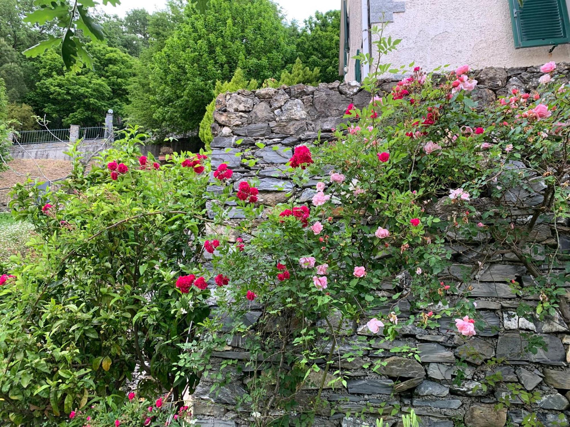 Il Giardino Di Piero - Lt-0029 Villa Salto Chiesa Kültér fotó